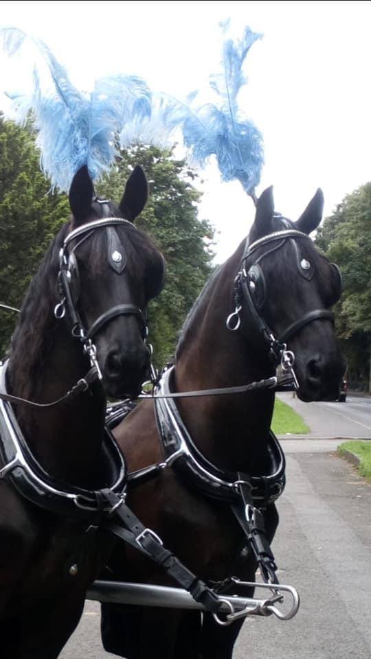 Planning the Route - Planning a Horse-Drawn Funeral