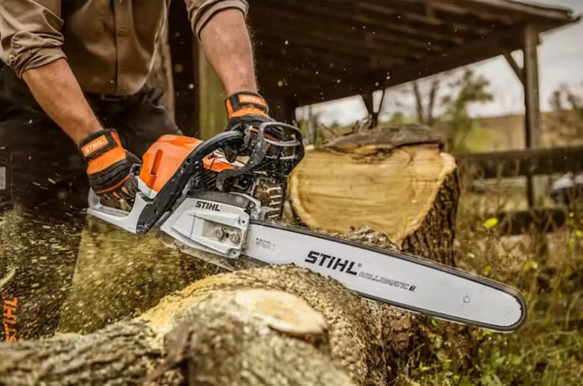 Tree Removal Newcastle, Gateshead and Northumberland