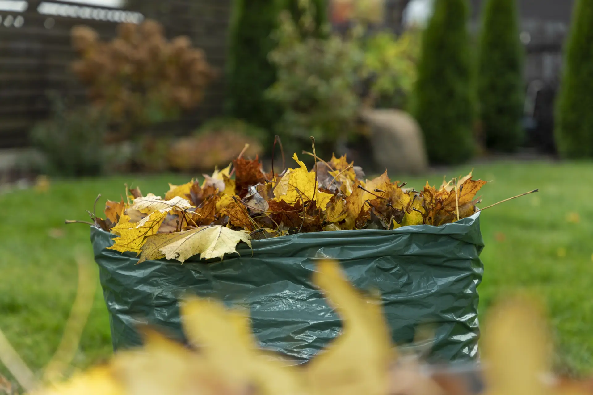 Garden Waste Removal Wolverhampton & West Midlands