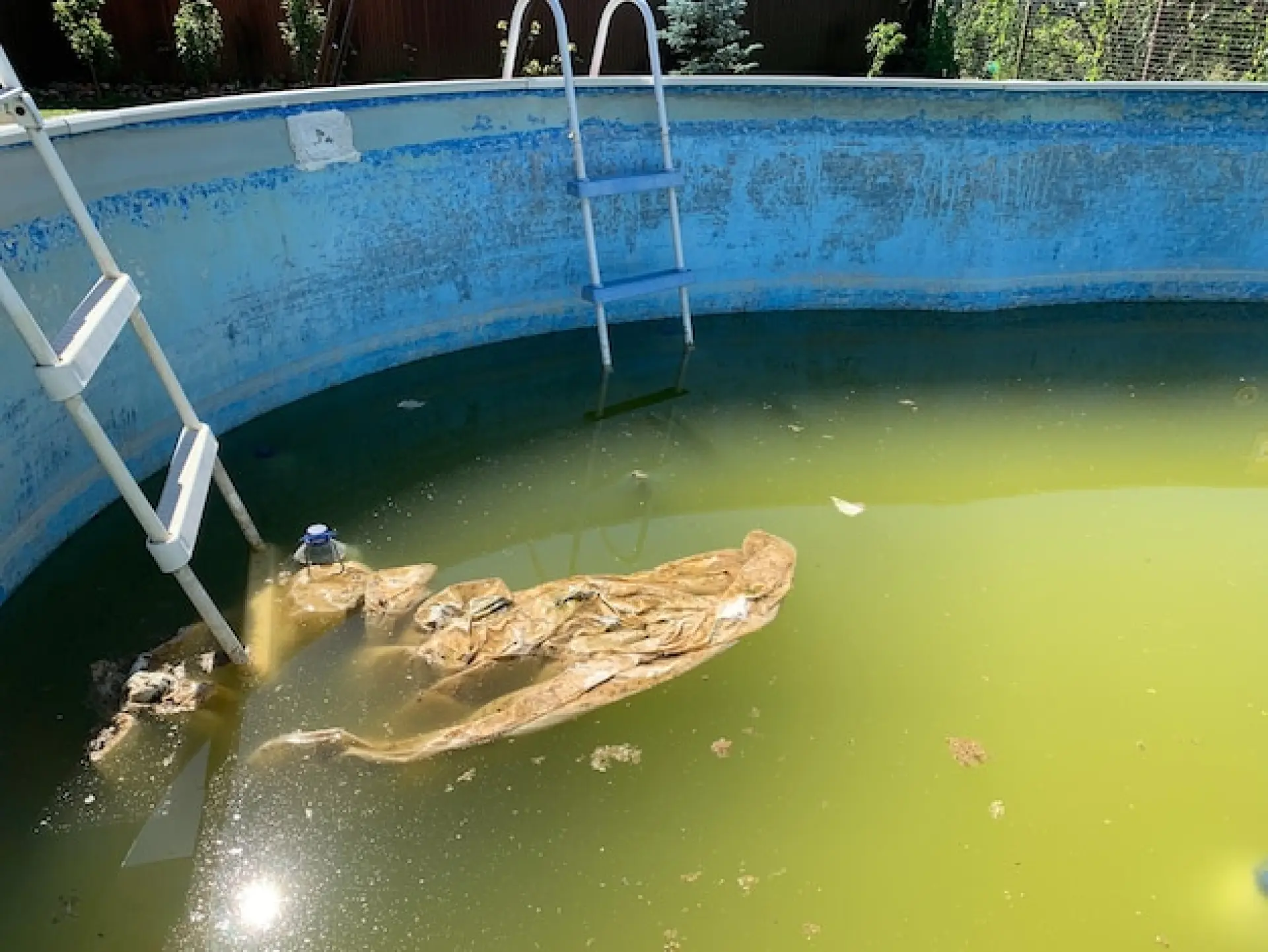 Swimming Pool Cleaning Services Maidstone, Kent