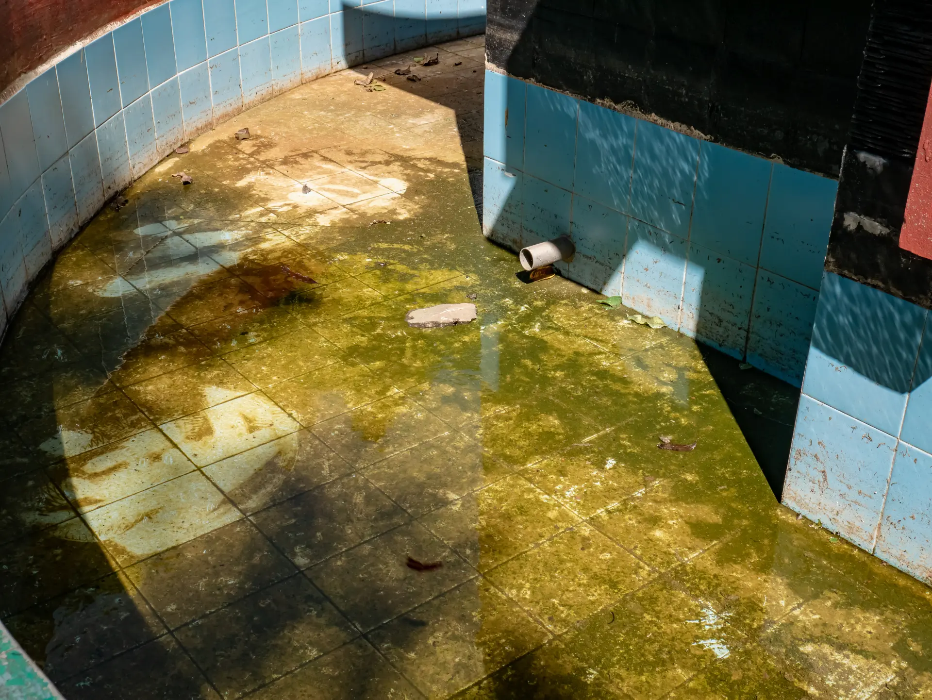 Dirty Pool