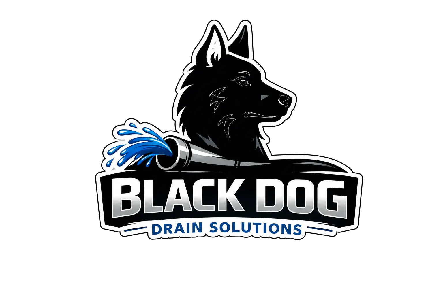 Black Dog Drain Solutions