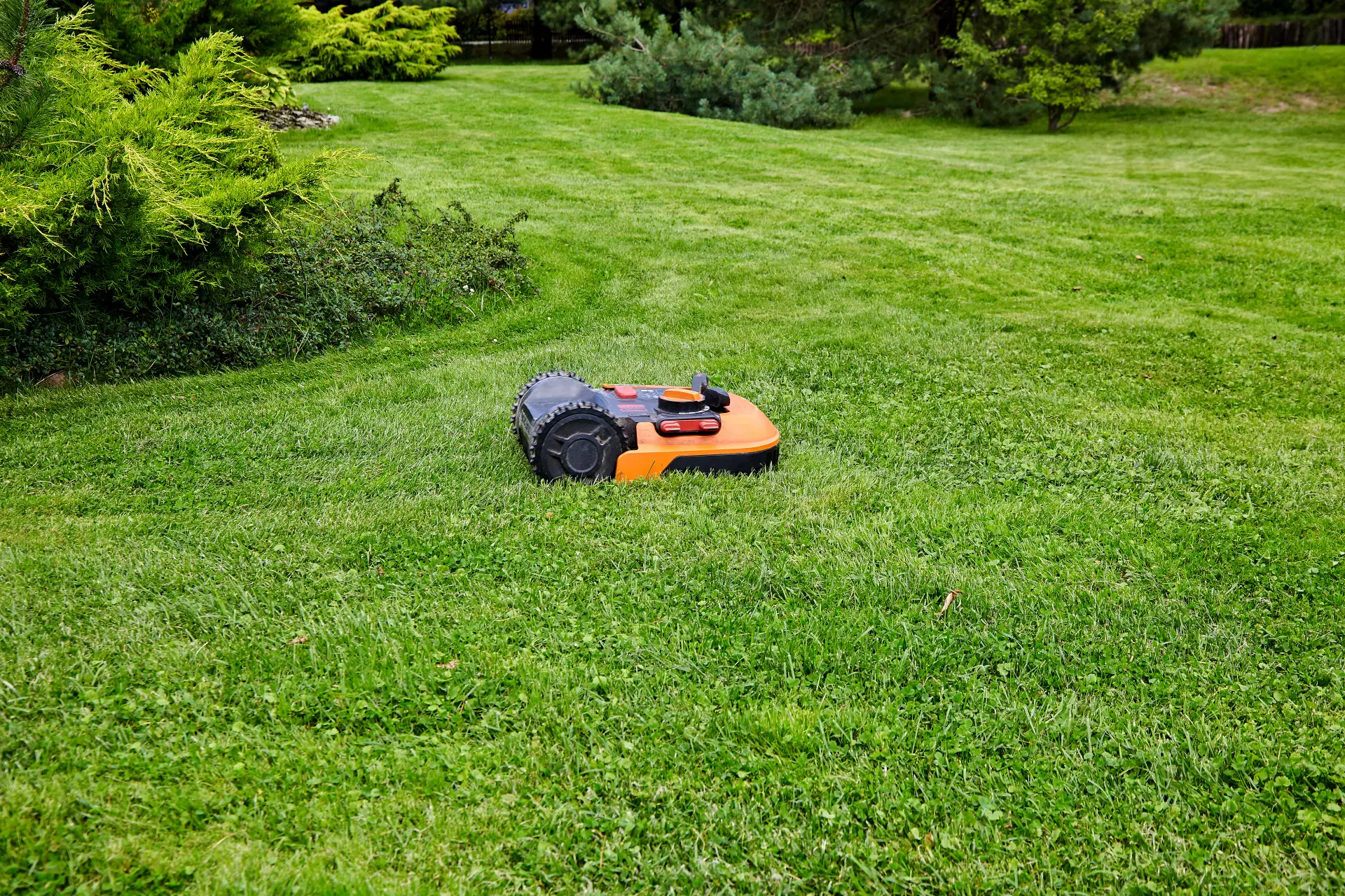 Common Mistakes When Laying Artificial Grass Common Mistakes When Laying Artificial Grass