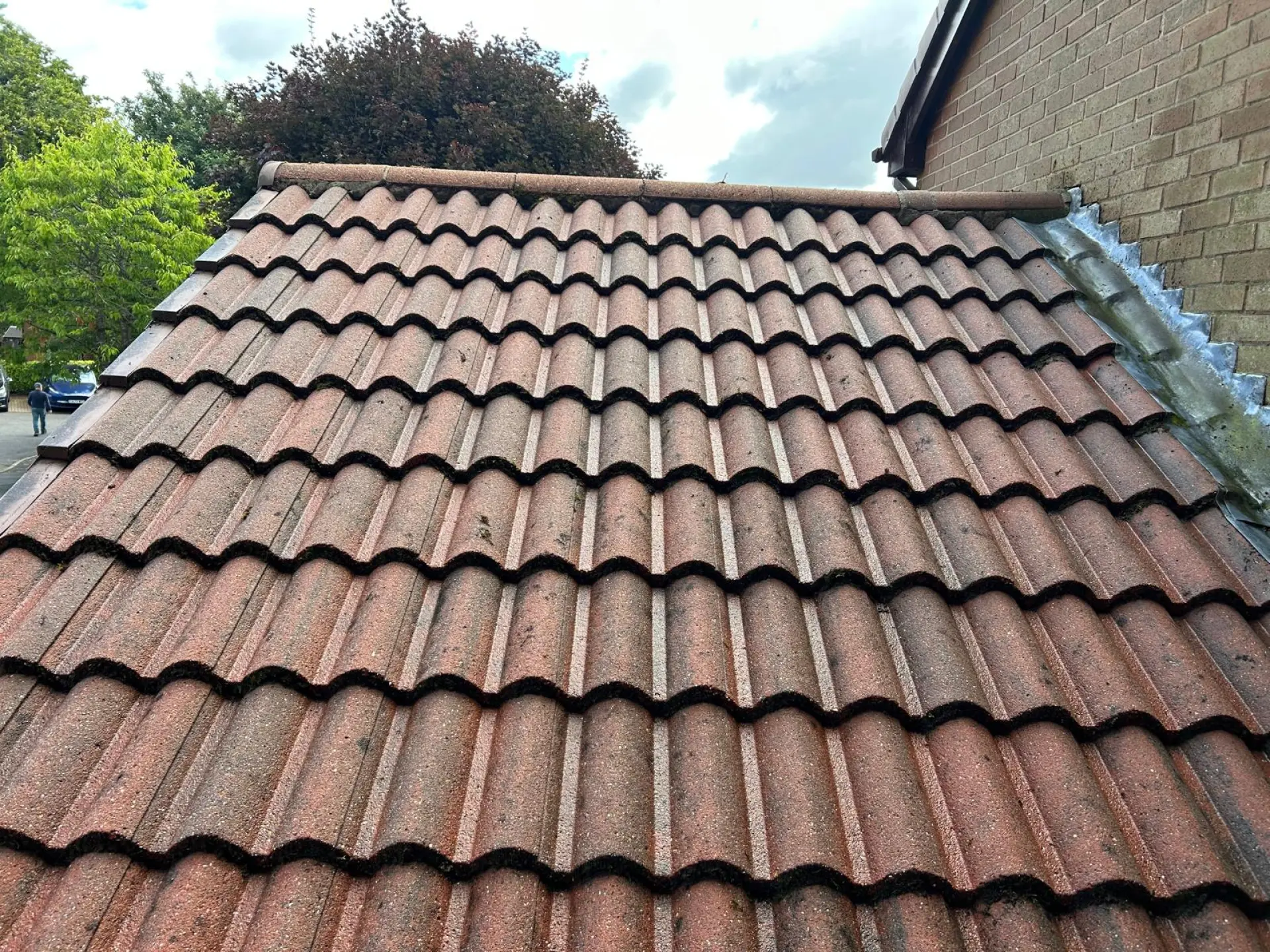 Roof Cleaning Roundhay 