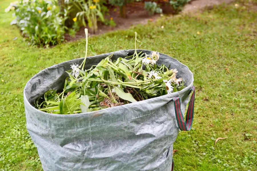 Garden Waste Removal in Ely