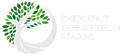 Emergency Tree Surgeon Reading