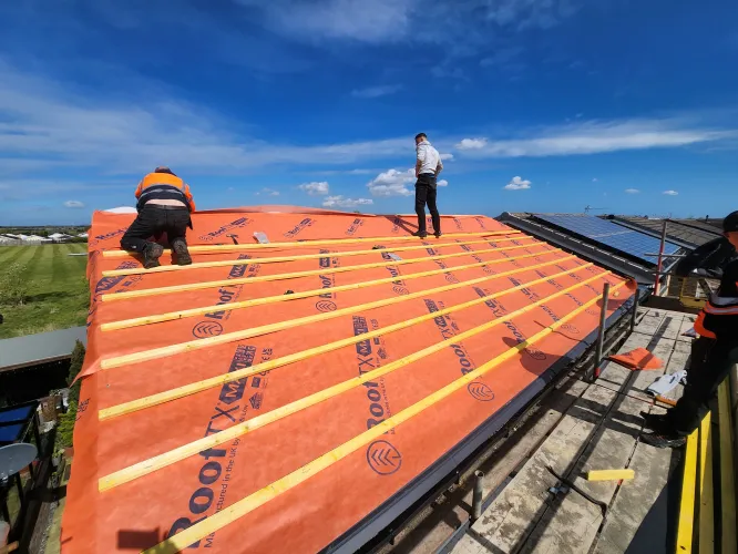 Full roof (image 3 of 10)
