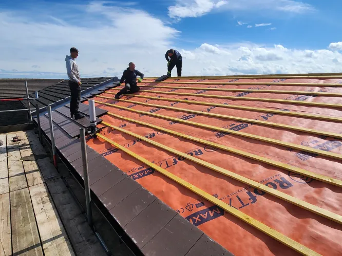 Full roof (image 6 of 10)