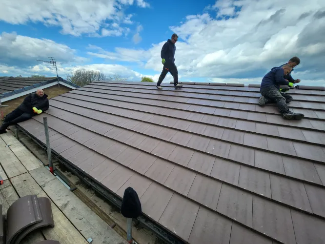 Full roof (image 7 of 10)
