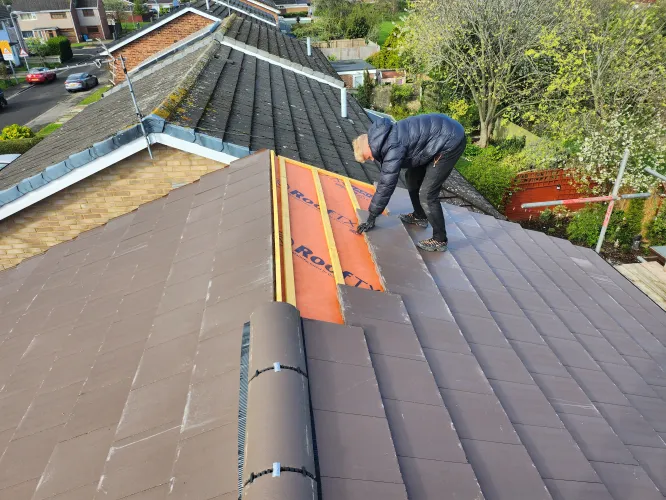 Full roof (image 8 of 10)