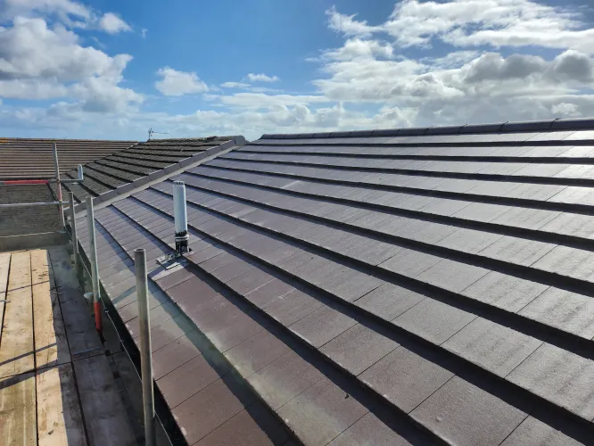 Full roof (image 9 of 10)