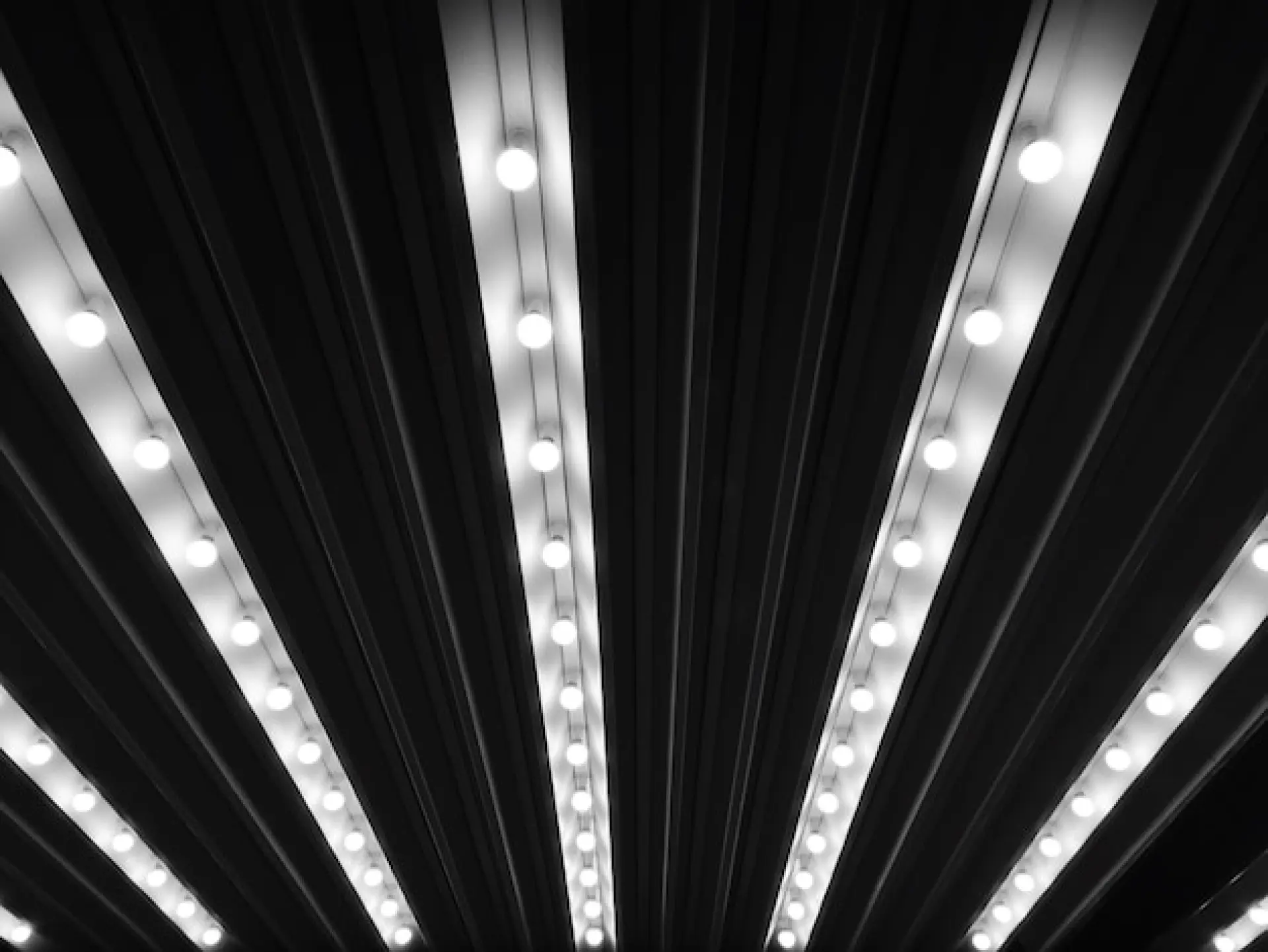 Customising LED Lighting for Office Needs