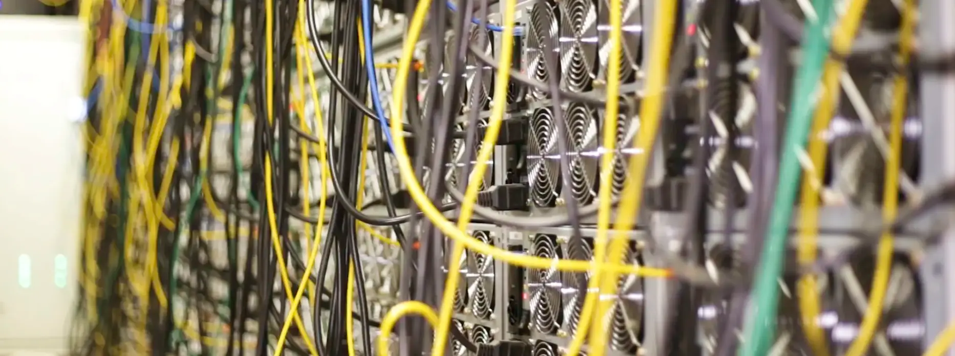 How Data Cabling Improves Office Connectivity Image