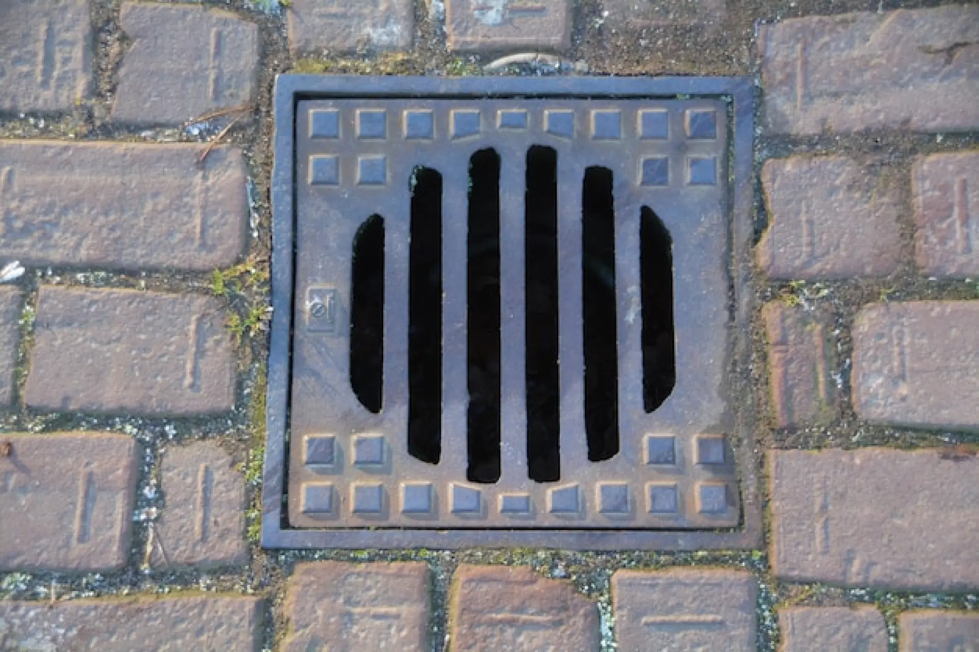 What to Do If Your Outdoor Drain Is Blocked Image