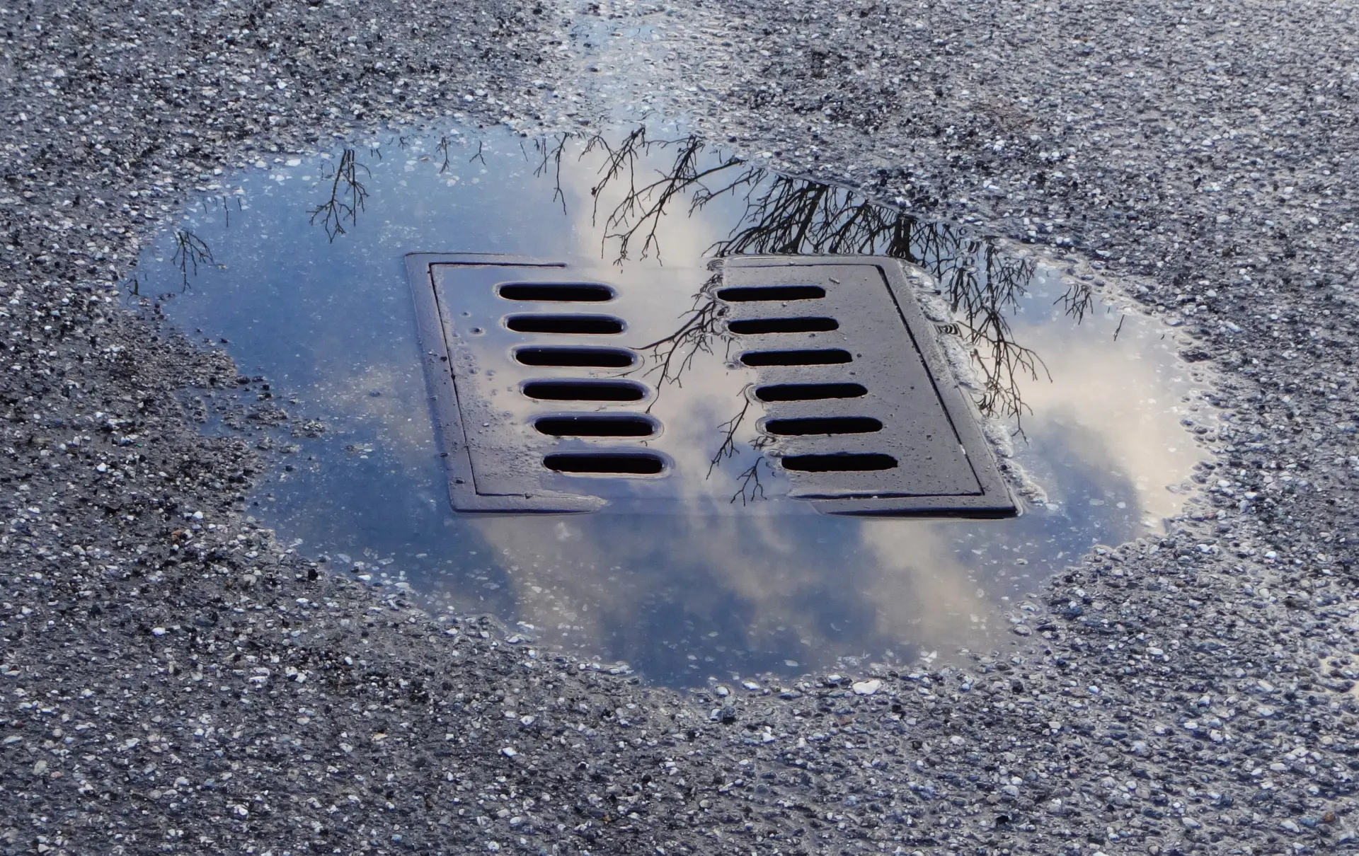 Wet Patches - How to Tell If You Have a Blocked Drain