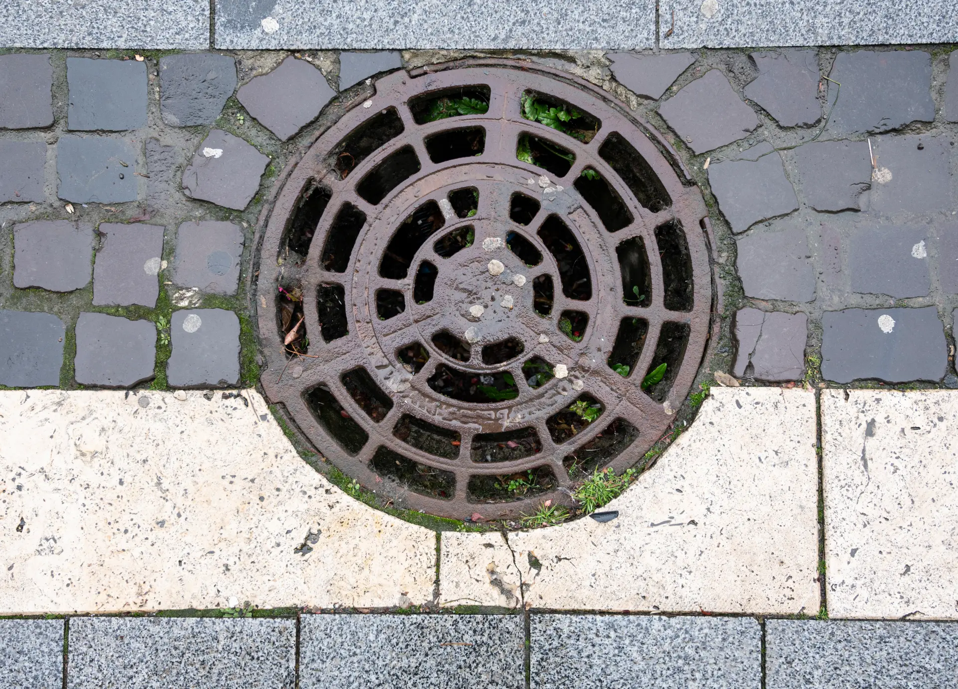 Outdoor Drain