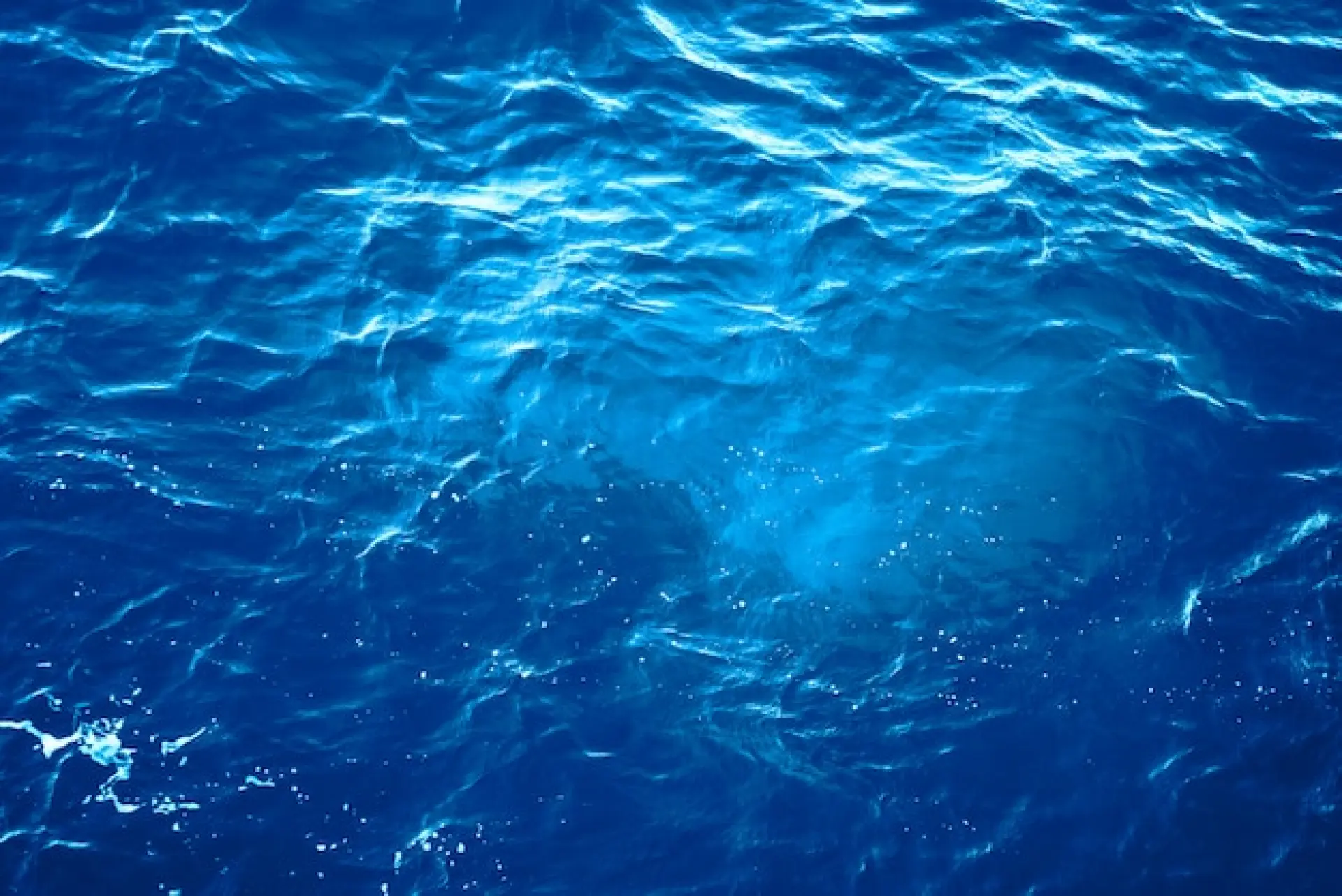 Common Reasons for Mains Chlorination Certificate Failures