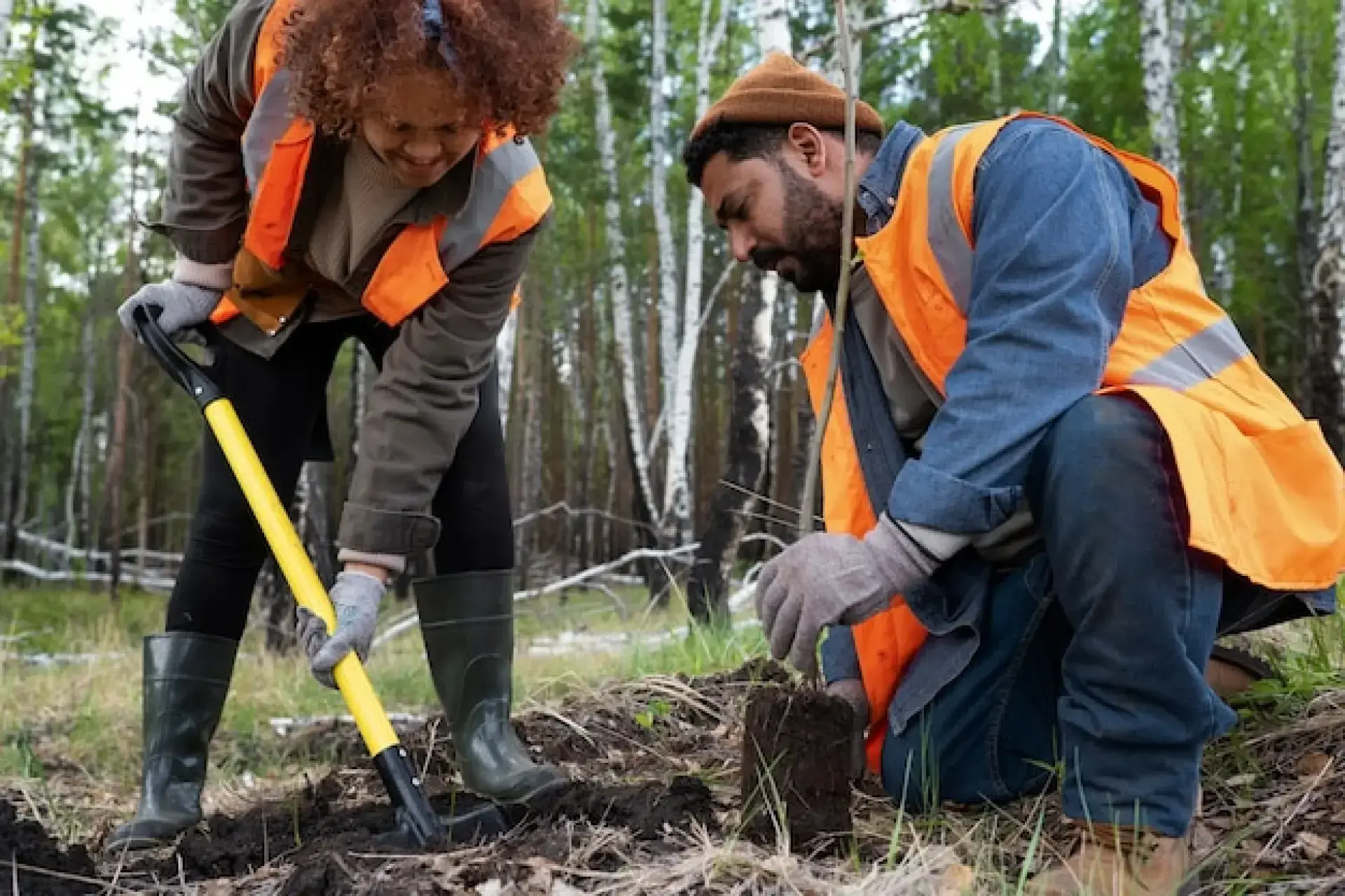 What Are the Major Problems Facing Forestry What Are the Major Problems Facing Forestry