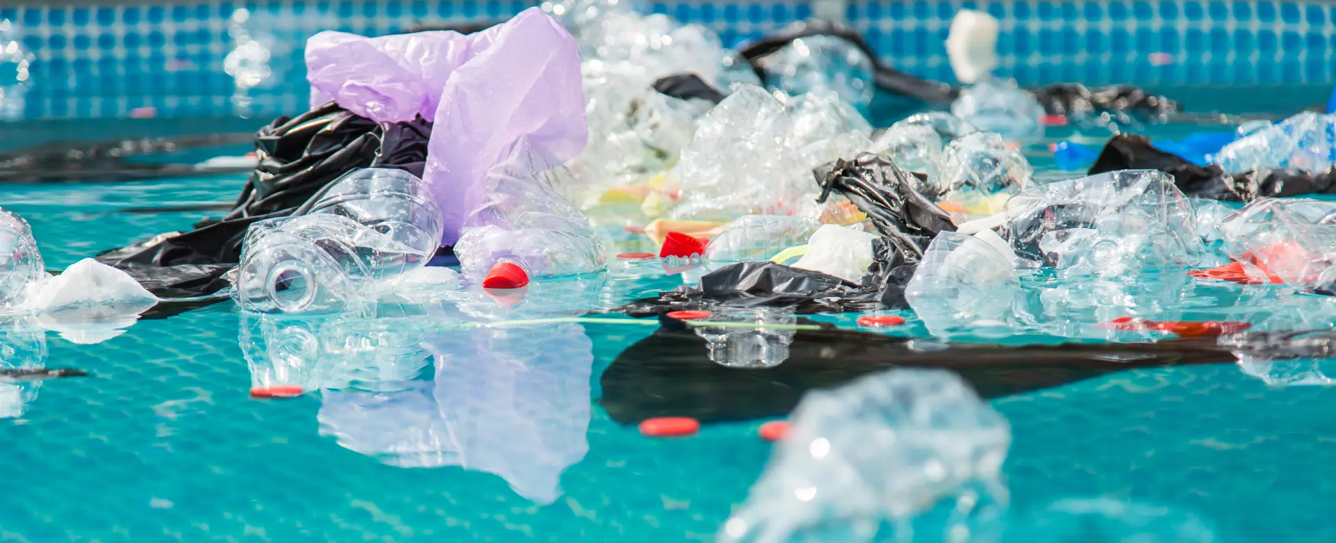The Environmental Impact of Poor Waste Disposal The Environmental Impact of Poor Waste Disposal