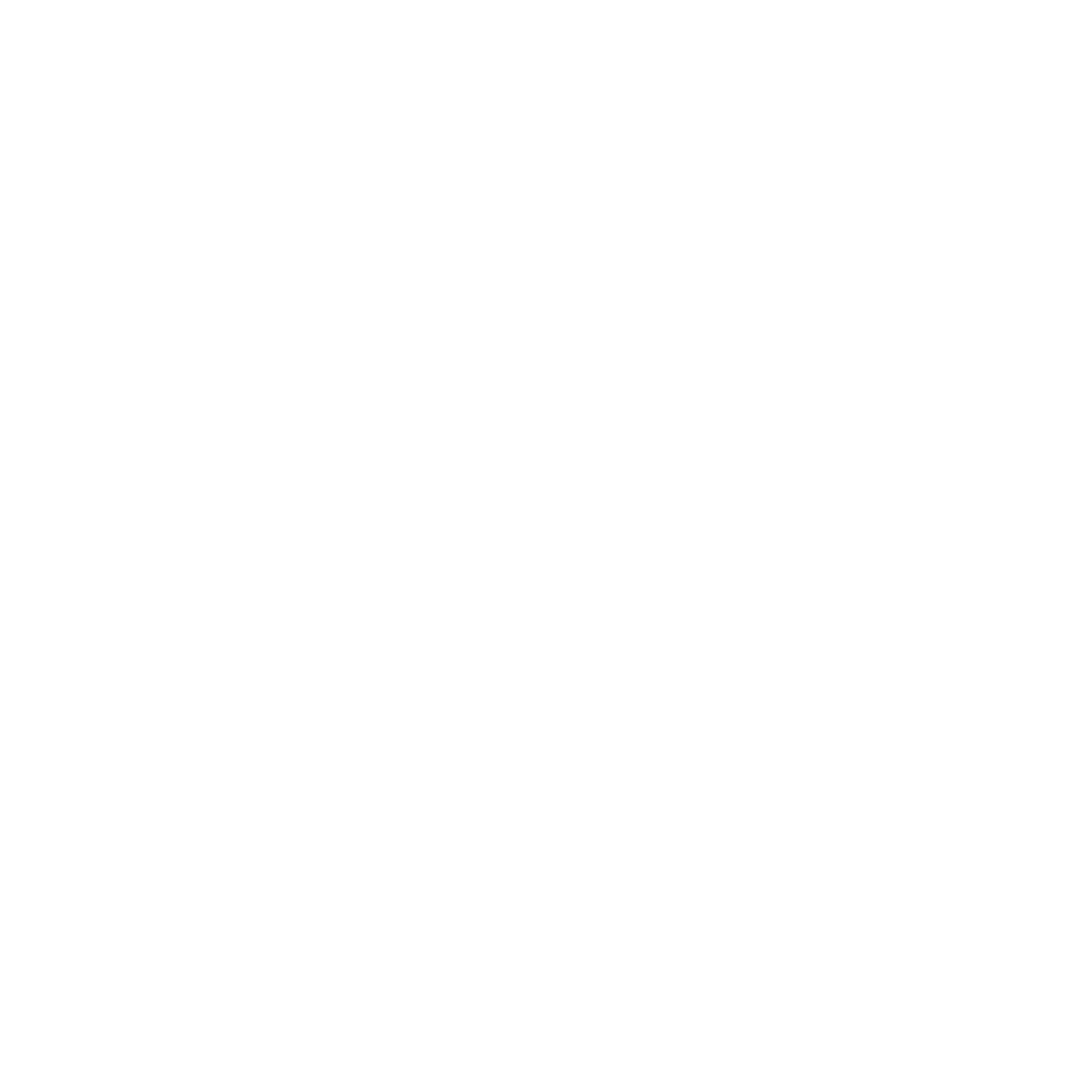 Shield Icon