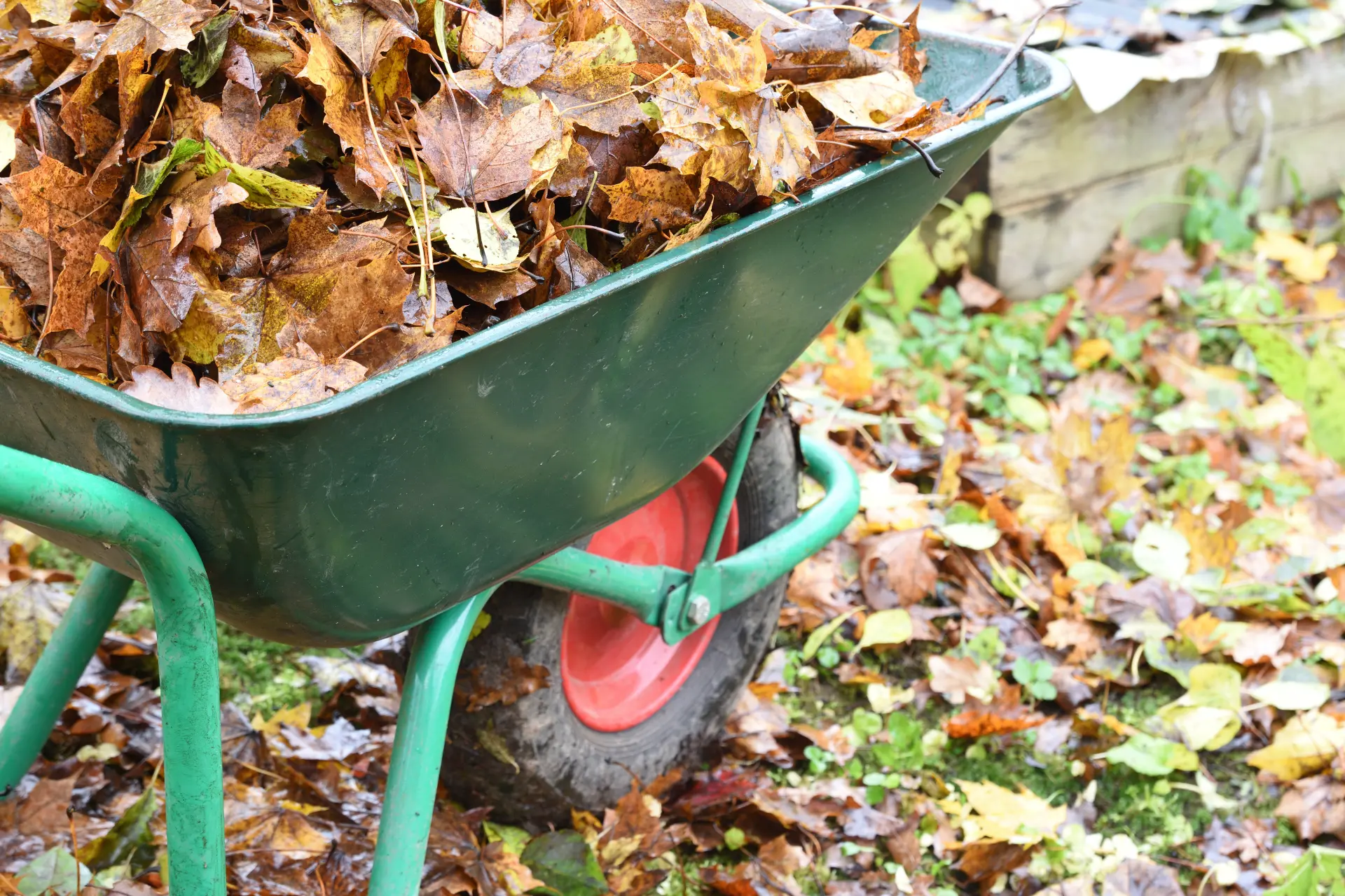 The Benefits of Clearing Garden Waste Regularly The Benefits of Clearing Garden Waste Regularly