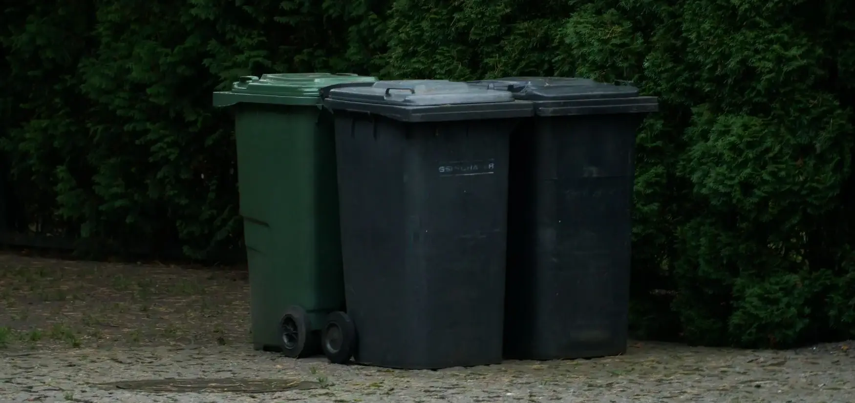 A Greener Approach to Domestic Waste Disposal in the UK