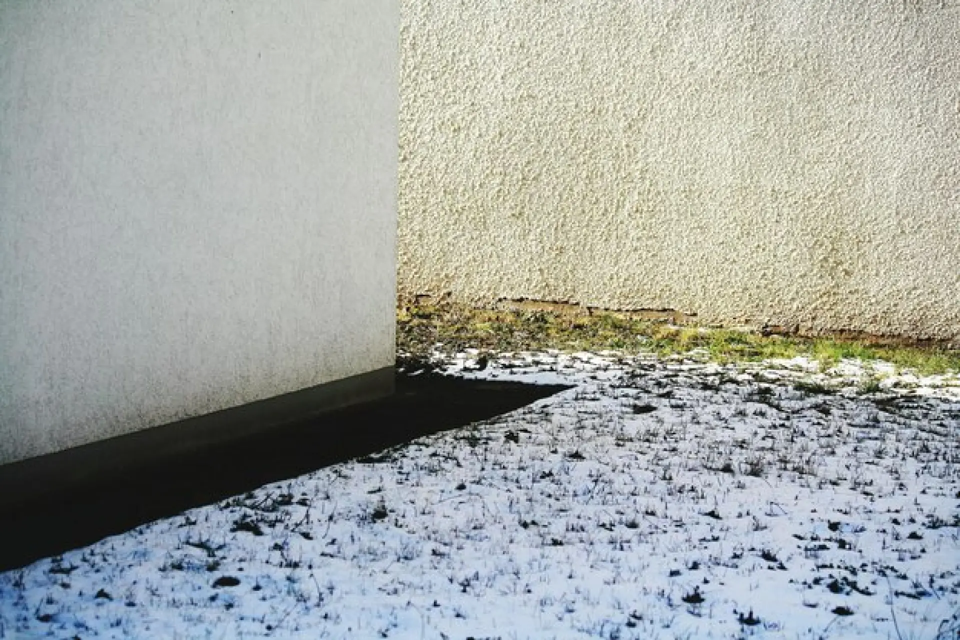 How to Identify and Treat Rising Damp in Your Home Image
