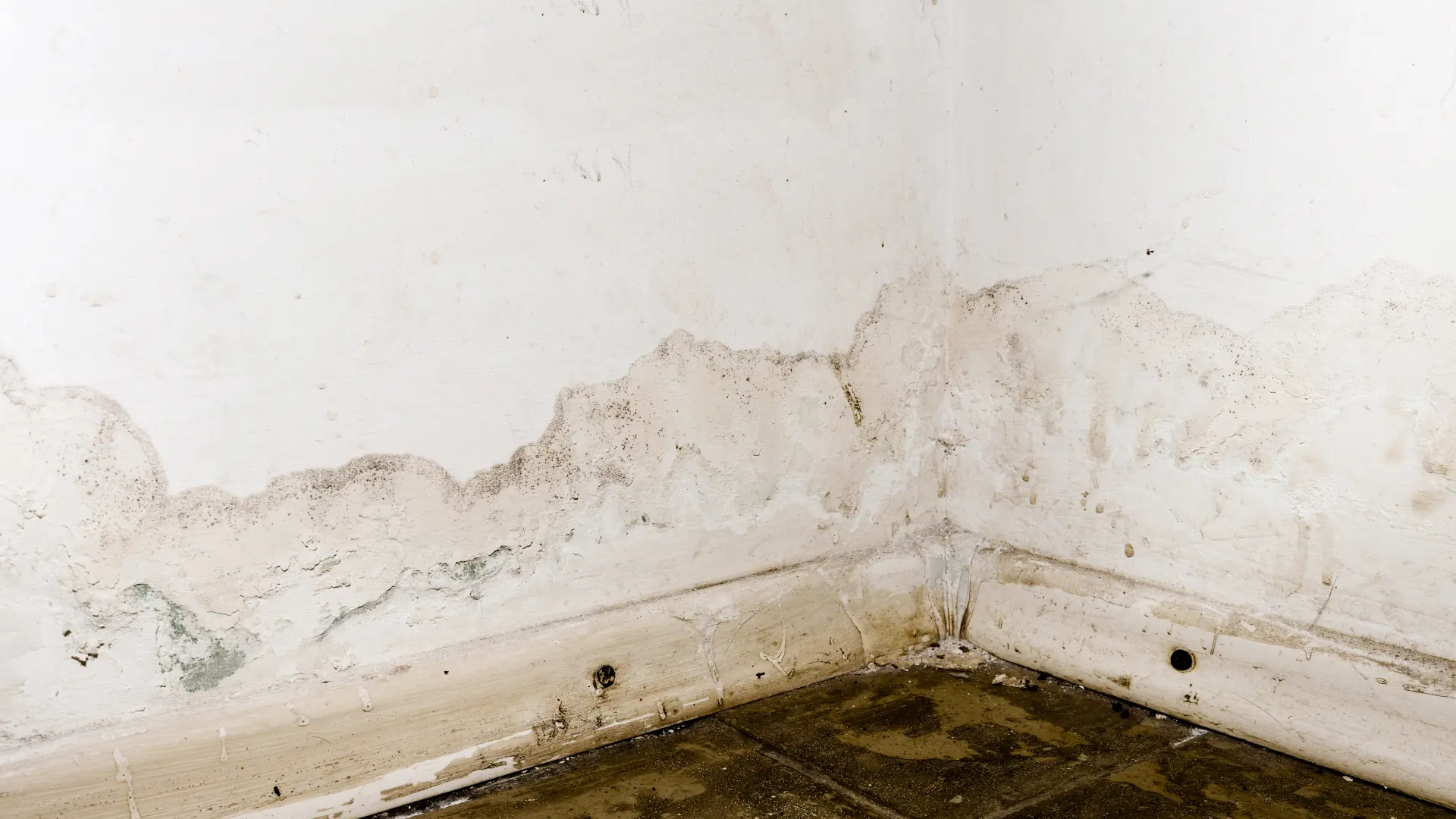 Common Problems Solved by Basement Tanking Systems