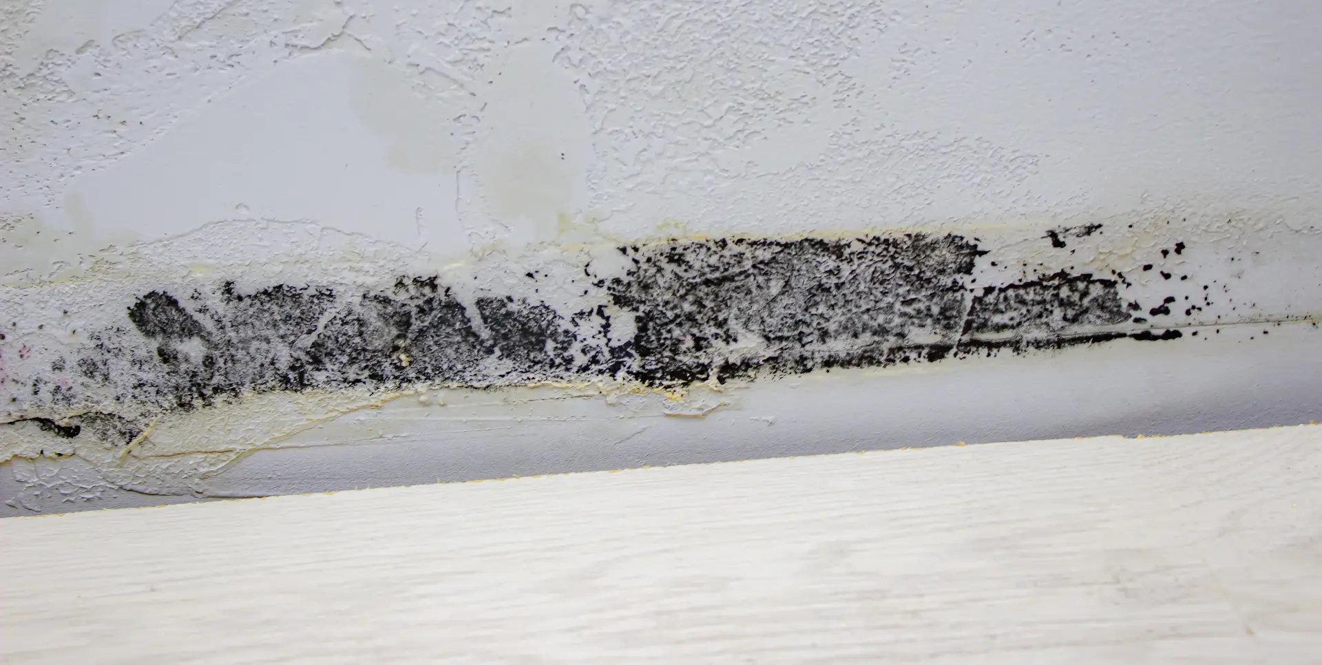 Different Types of Damp and How to Identify Them