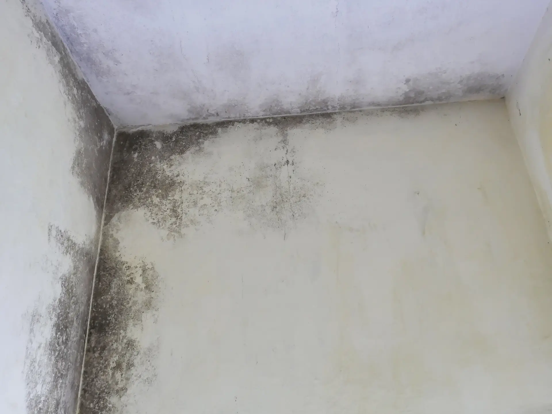 Damp in house - How to Tell the Difference Between Damp Types