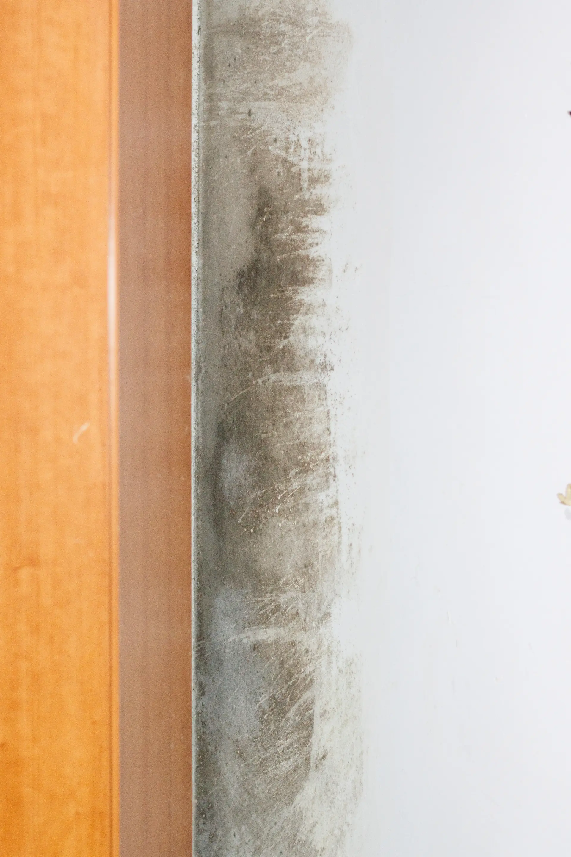Top Tips to Prevent Damp in Your Home Image