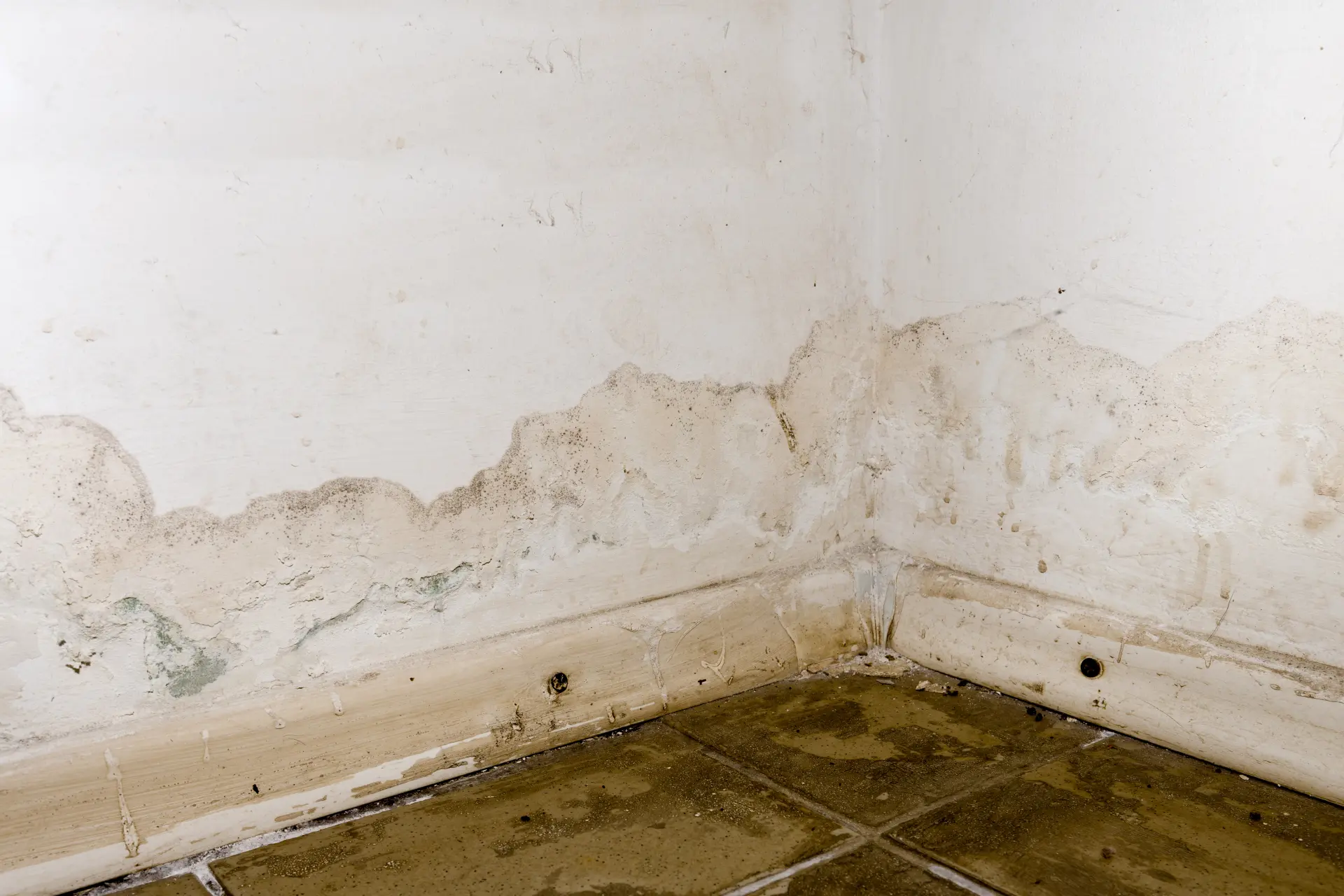 Leaks in Roofs, Walls and Pipes