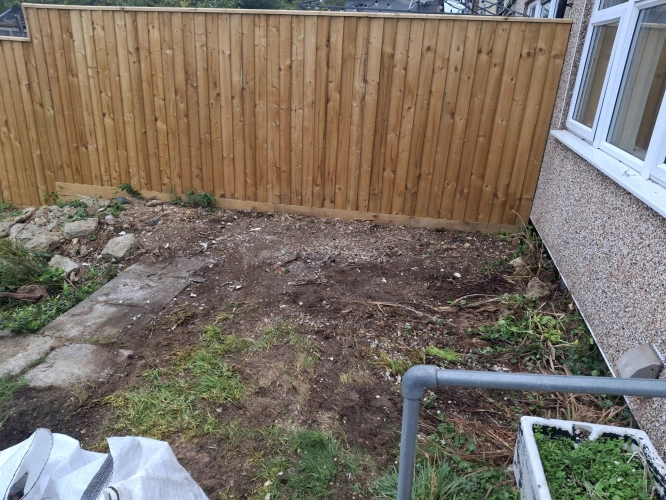 Before and After Garden (image 2 of 2)