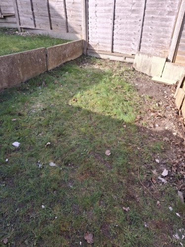 Before and After Garden (image 2 of 2)