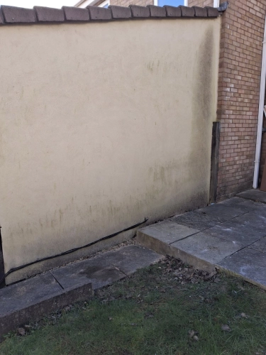 Before and After Wall (image 2 of 2)