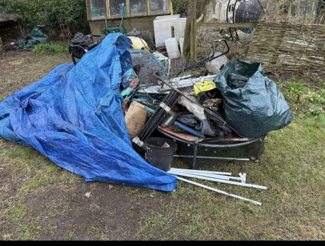 Before and After Garden