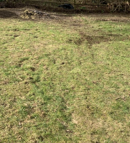Before and After Garden (image 2 of 2)