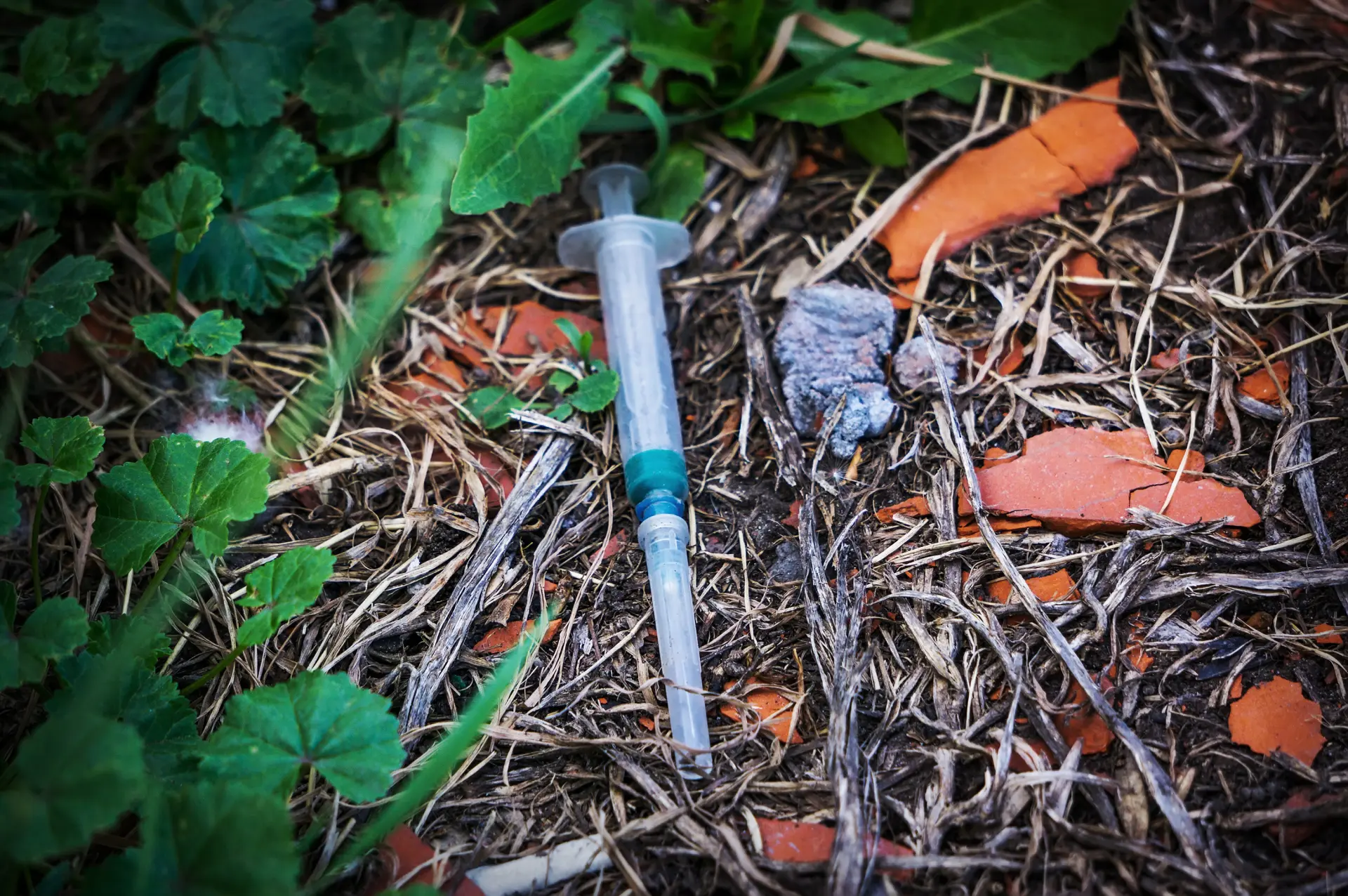 Drug Den Clearance