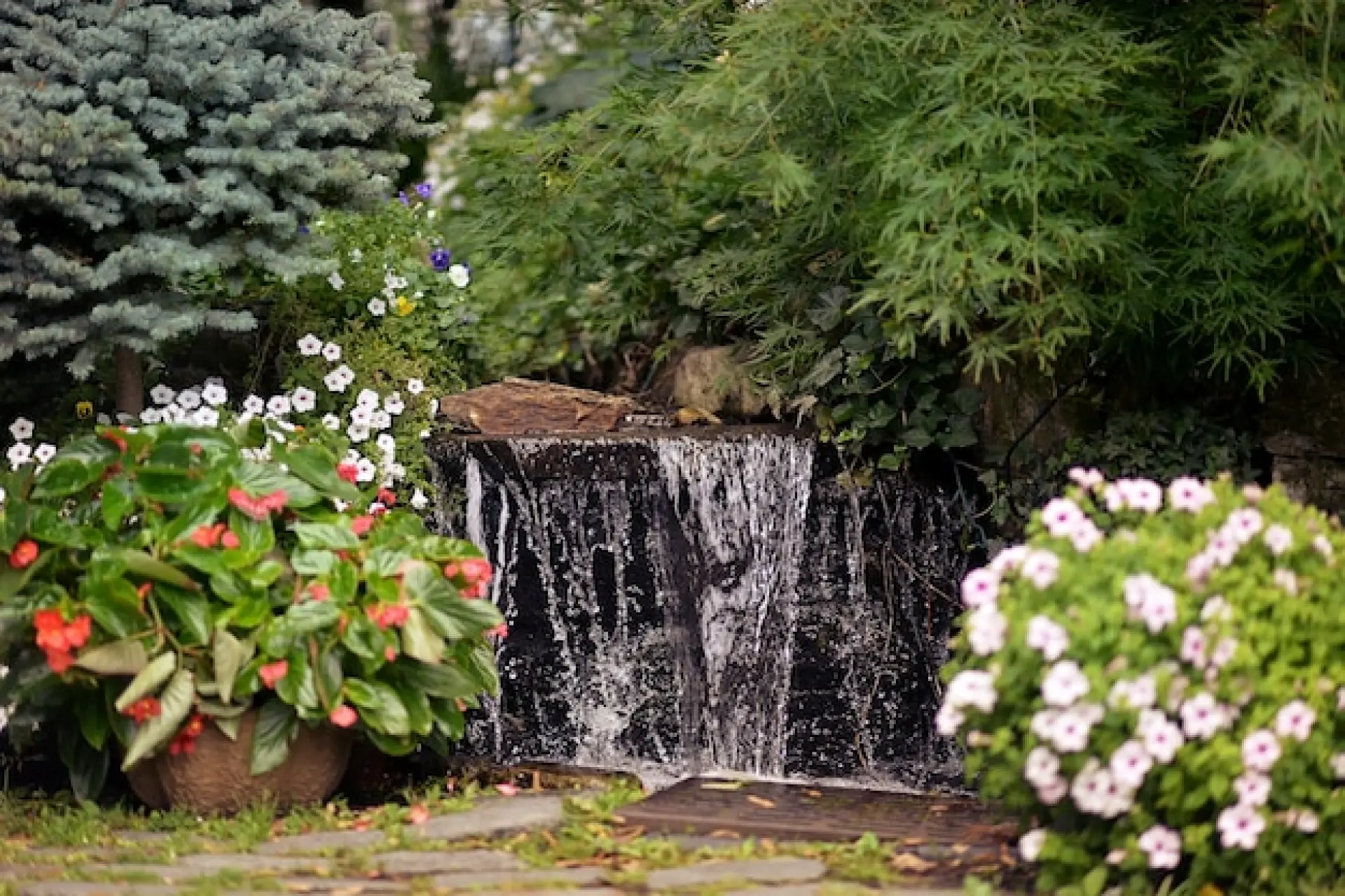 Water Feature Installation in Essex