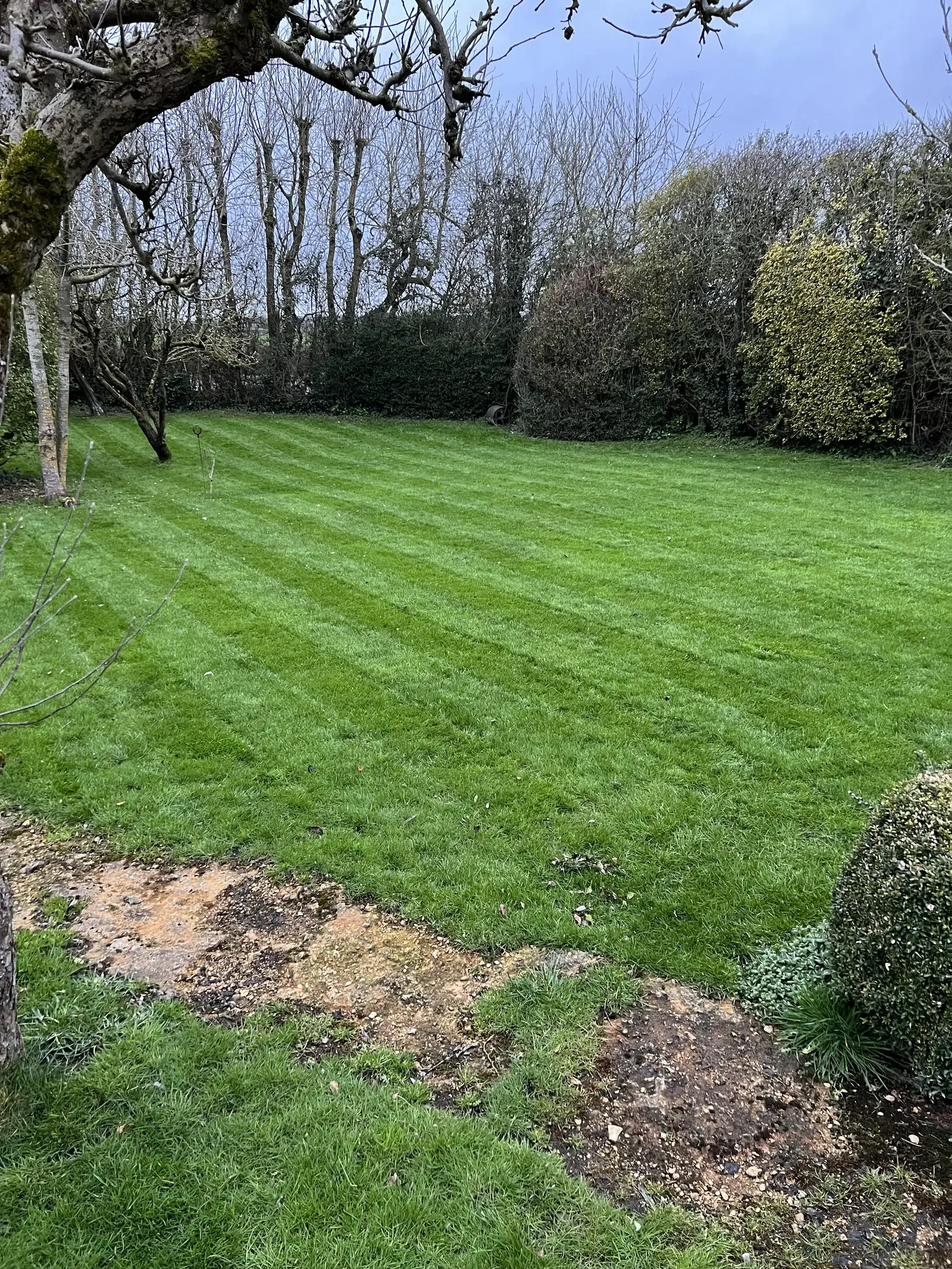 Garden Design and Planning in Wiltshire