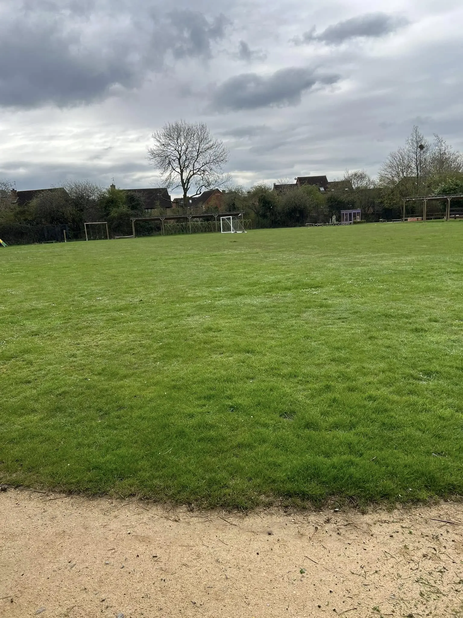 Domestic and Commercial Soft Landscaping in Chippenham