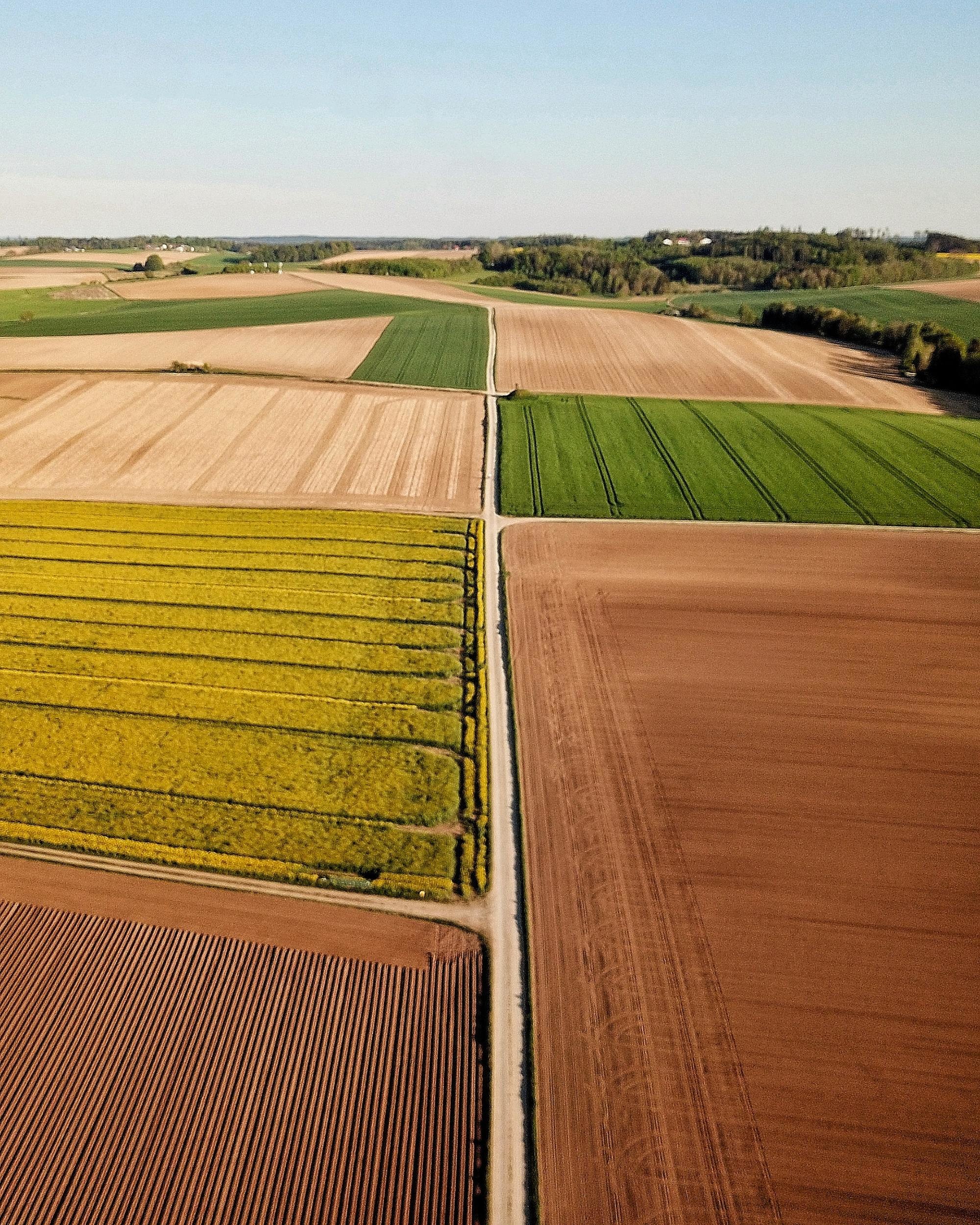 Uses of geophysical surveys on historical sites