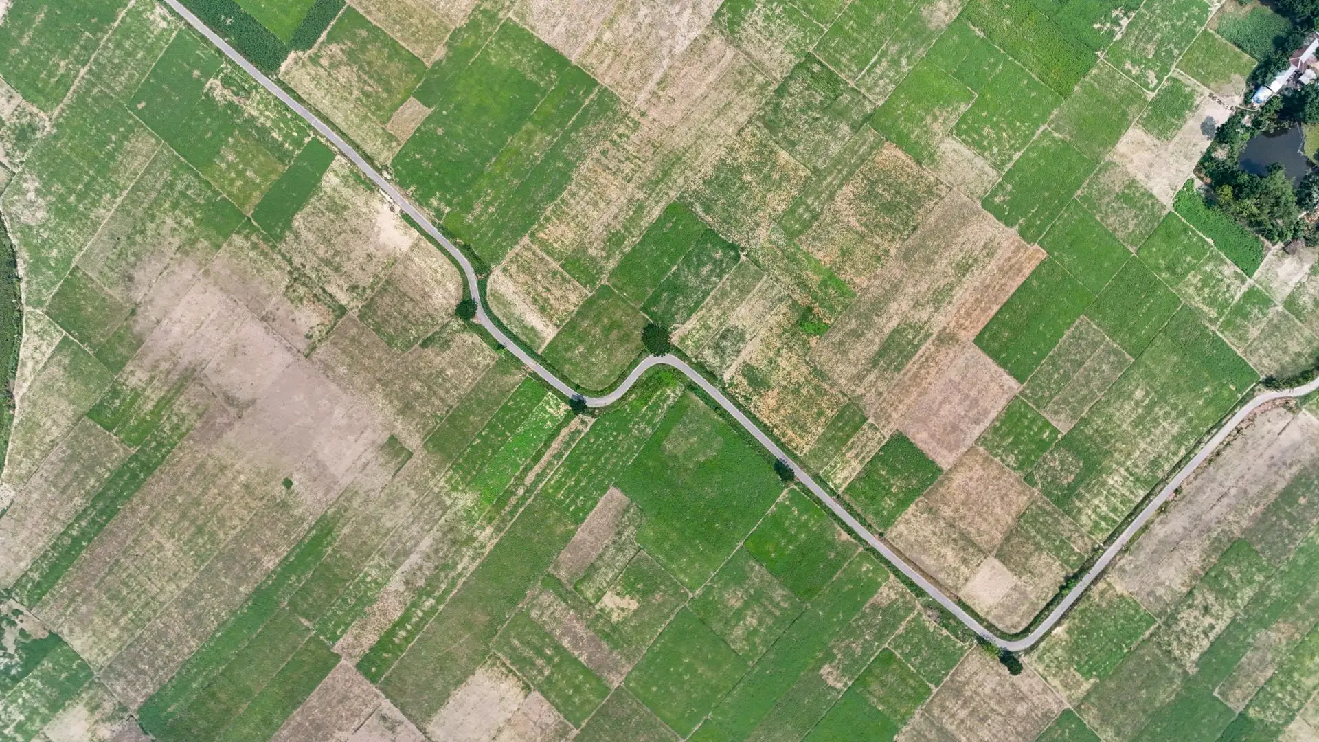 What Can an Archaeological Geophysical Survey Detect