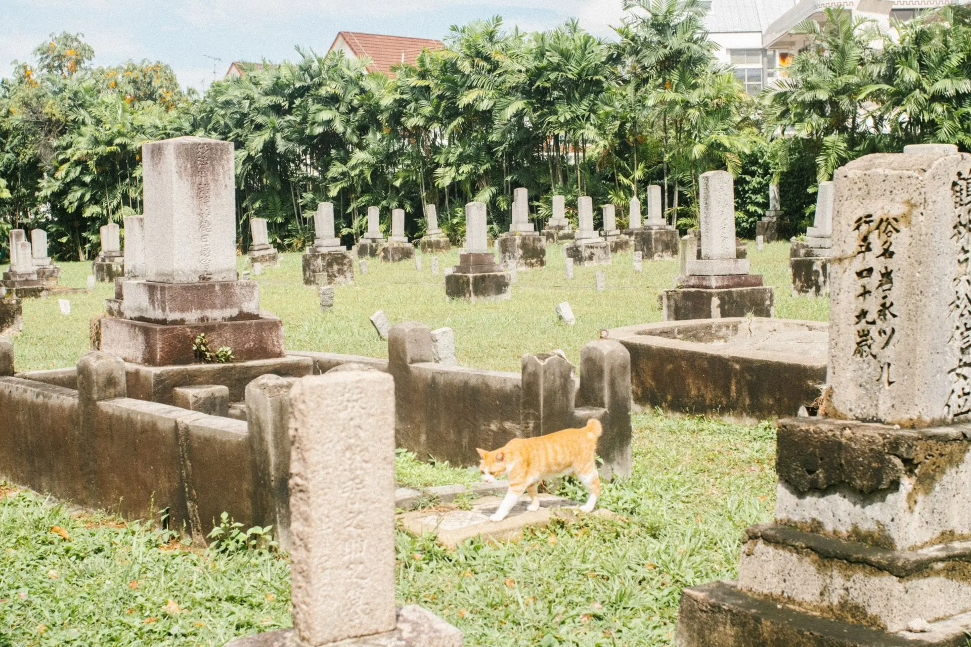 Burial Sites and Unmarked Graves