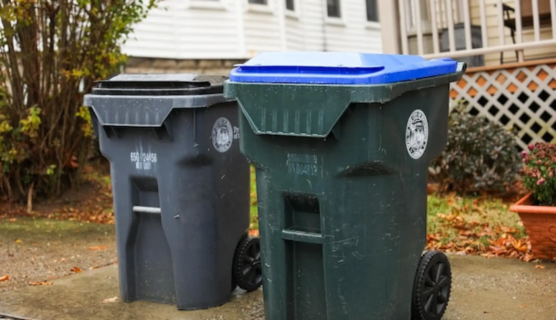 Wheelie Bin Services - Street-side bin beside scattered general waste