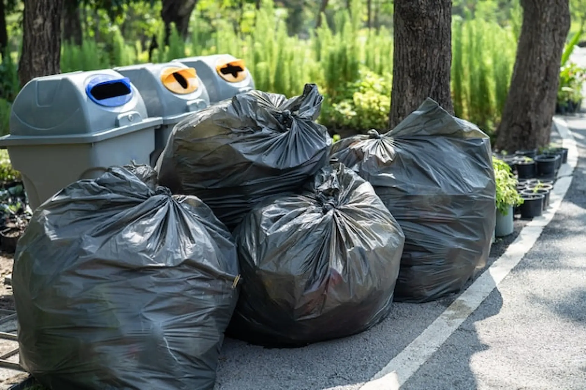 Gowerton Waste Clearance Company