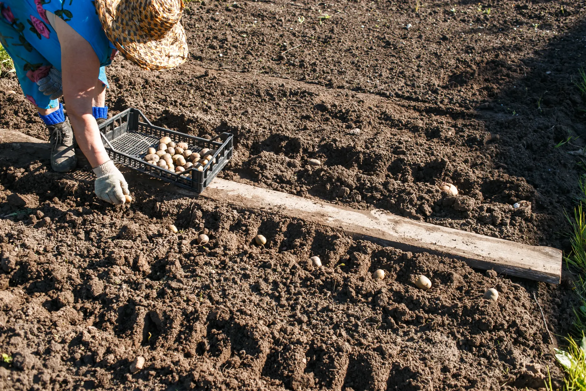 Why Topsoil Planning Matters For Landscaping Projects