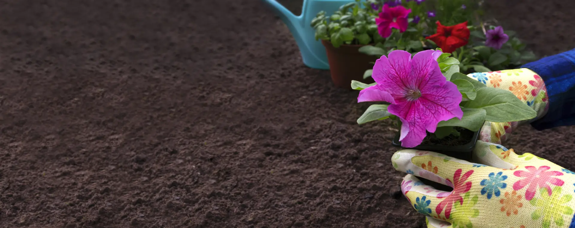 When Should You Add Topsoil to Your Garden?