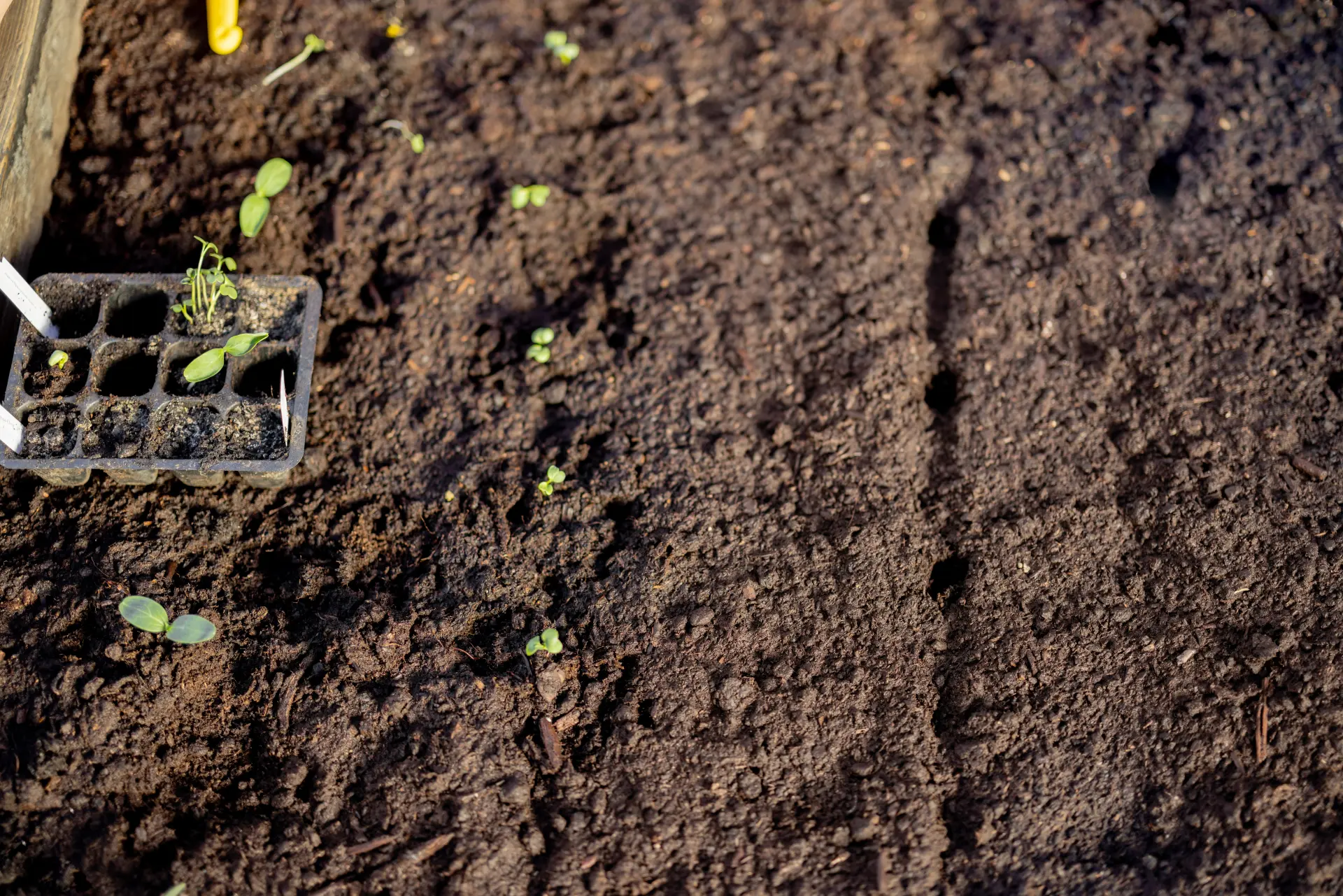 What Is Topsoil and Why Is It Important What Is Topsoil and Why Is It Important