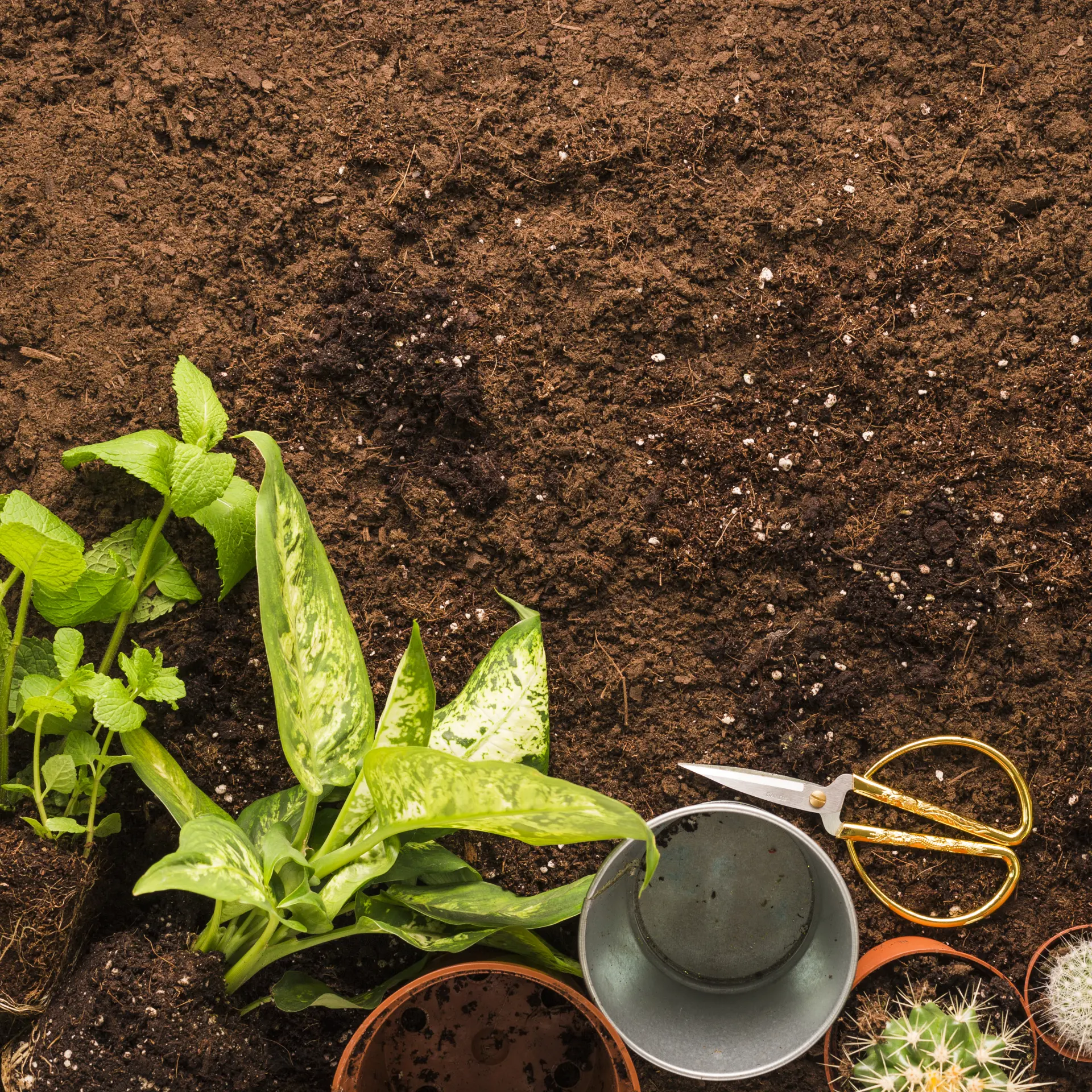 Topsoil in Gardens and Lawns